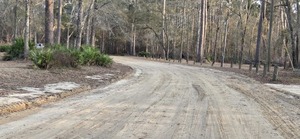 [Access Road, Langdale Park Boat Ramp, Withlacoochee River @ North Valdosta Road 2026-02-19 --jsq for WWALS]