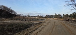 [Back to US 41, Langdale Park Boat Ramp, Withlacoochee River @ North Valdosta Road 2026-02-19 --jsq for WWALS]