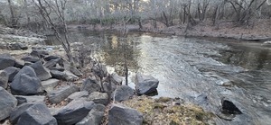 [Downstream to Troupville Boat Ramp, Little River @ GA 133 2026-02-19 --jsq for WWALS]