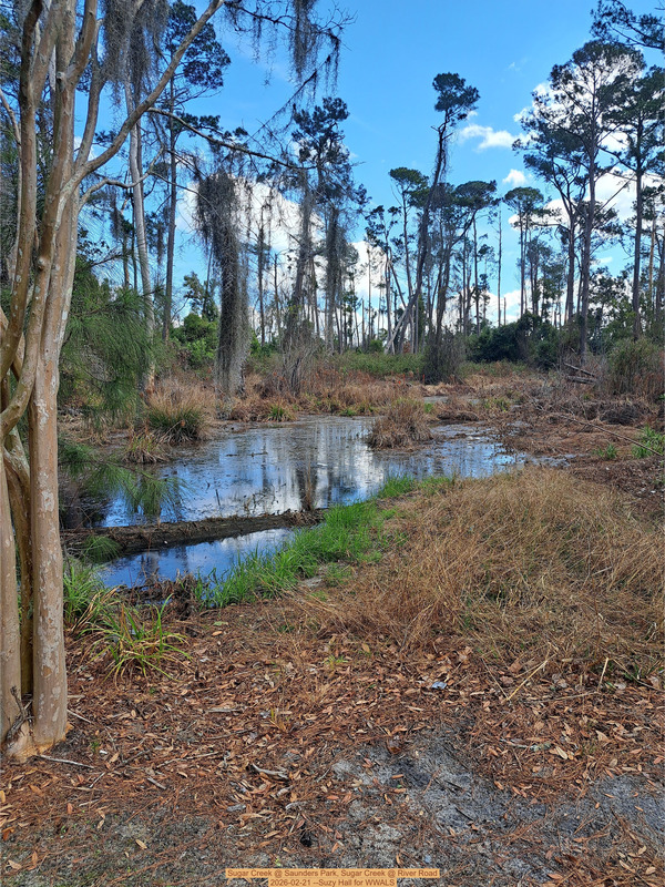 [Sugar Creek @ Saunders Park, Sugar Creek @ River Road 2026-02-21 --Suzy Hall for WWALS]