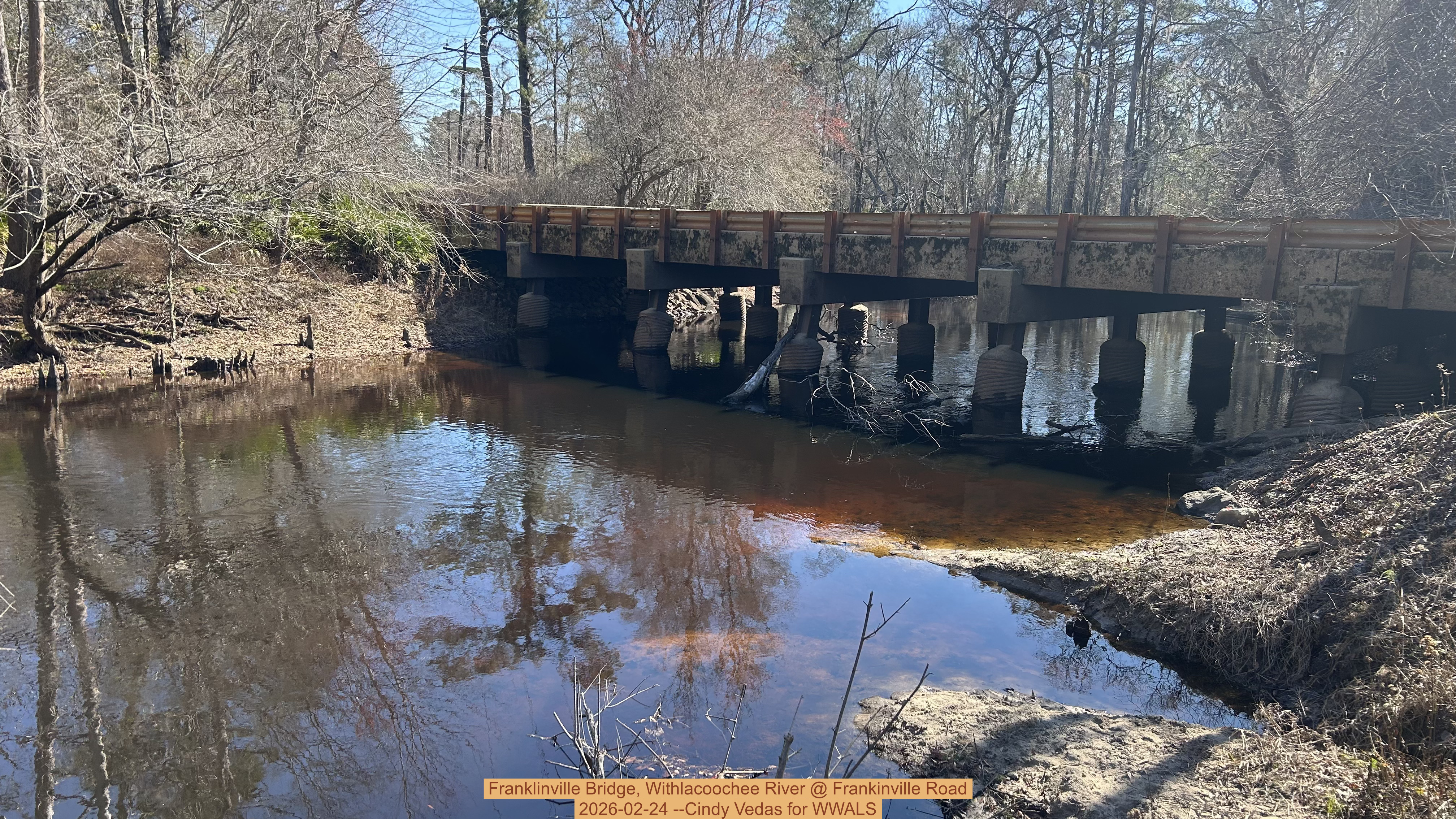 Franklinville Bridge, Withlacoochee River @ Frankinville Road 2026-02-24 --Cindy Vedas for WWALS