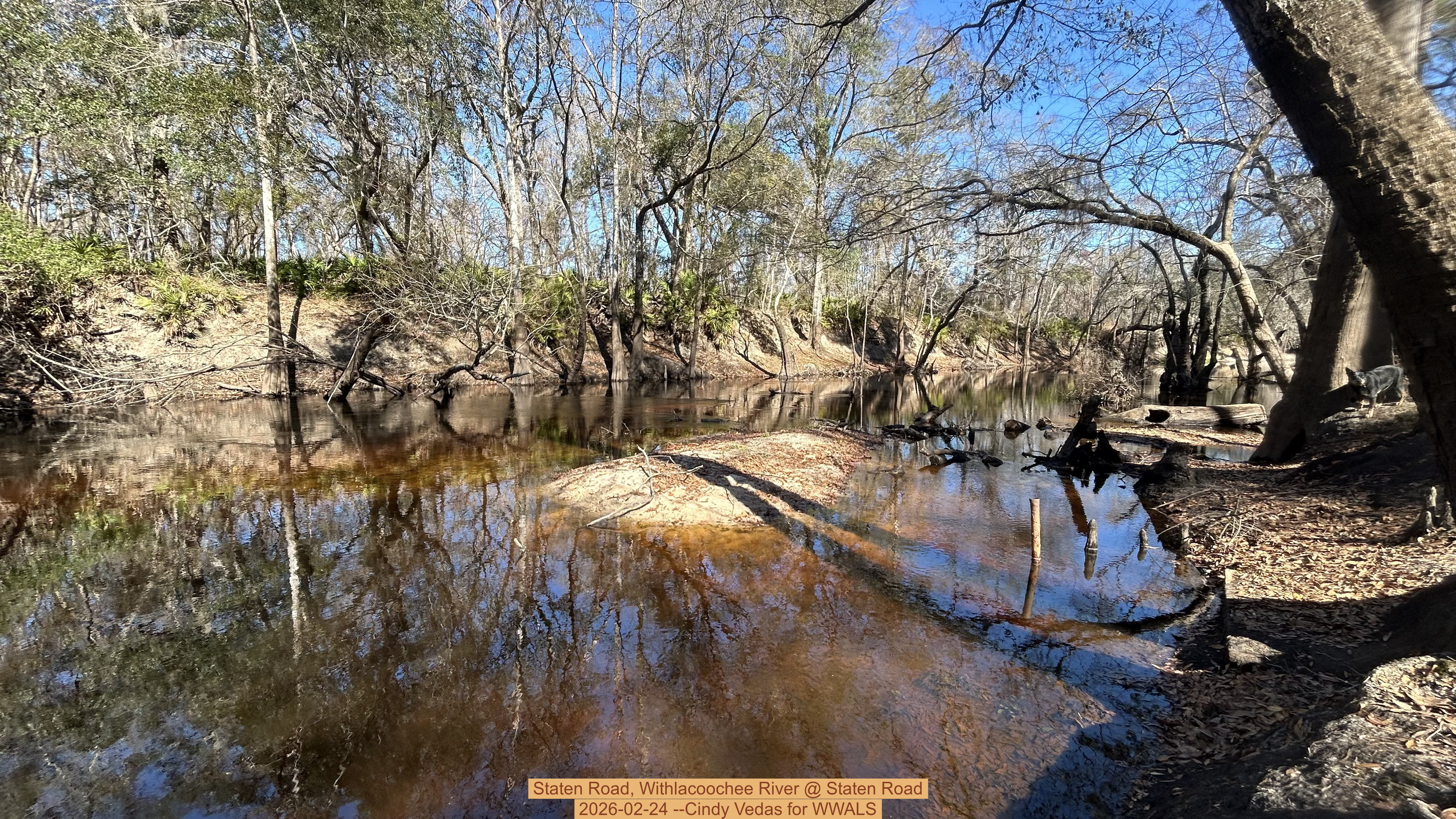 Staten Road, Withlacoochee River @ Staten Road 2026-02-24 --Cindy Vedas for WWALS