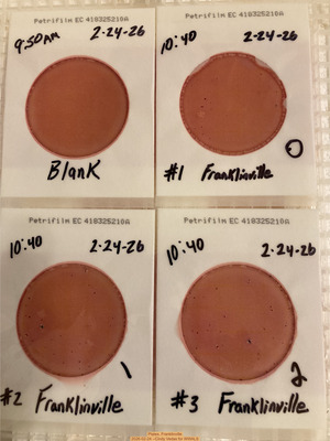 [Plates, Franklinville 2026-02-24 --Cindy Vedas for WWALS]