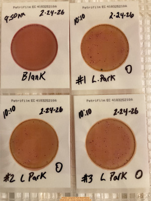 [Plates, Langdale Park Boat Ramp 2026-02-24 --Cindy Vedas for WWALS]