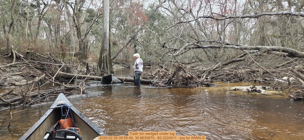 [Trash bin wedged under log, 2026:02:28 09:56:49, 30.8630970, -83.3224511 --jsq for WWALS]