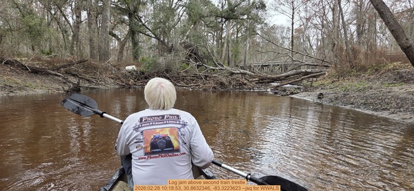 [Log jam above second train trestle, 2026:02:28 10:18:53, 30.8632346, -83.3223623 --jsq for WWALS]