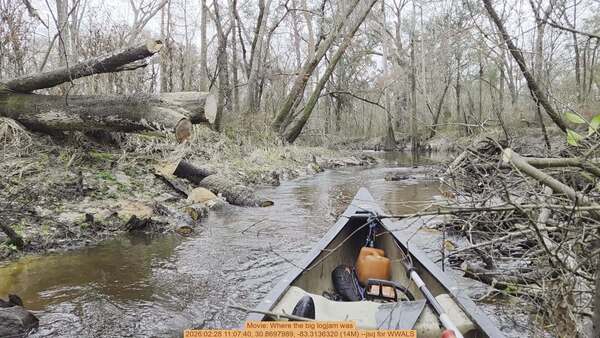 Movie: Where the big logjam was, 2026:02:28 11:07:40, 30.8697989, -83.3136320 (14M) --jsq for WWALS