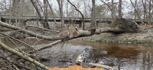 [Another one, 2026:02:28 11:11:07, 30.8637901, -83.3224721 --jsq for WWALS]