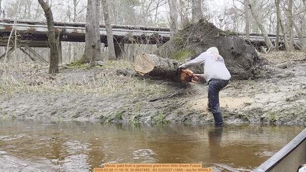 Movie: paid from a generous grant from Wild Green Future, 2026:02:28 11:18:18, 30.8637465, -83.3225227 (18M) --jsq for WWALS