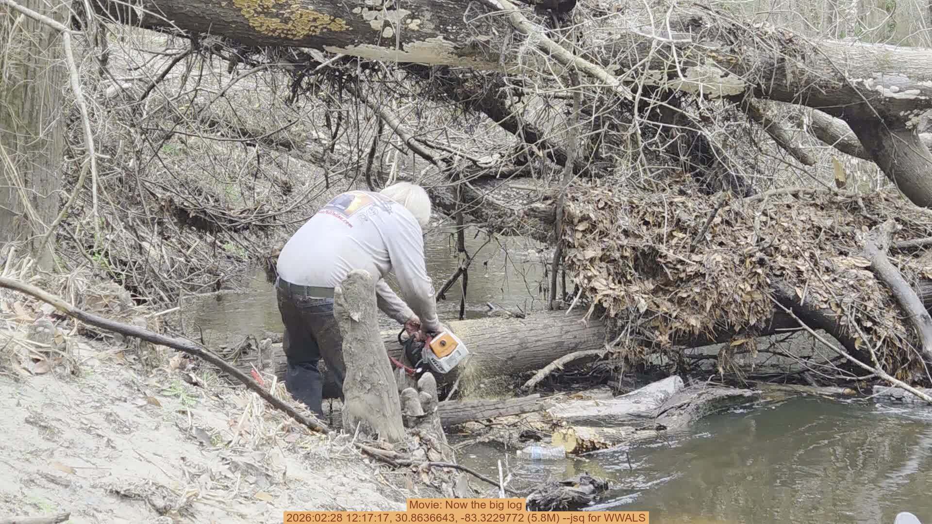 Movie: Now the big log, 2026:02:28 12:17:17, 30.8636643, -83.3229772 (5.8M) --jsq for WWALS