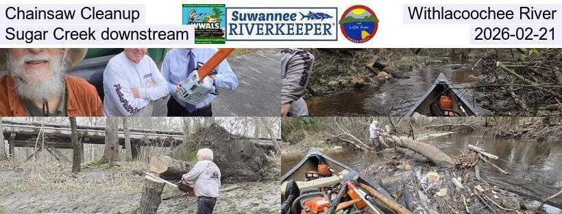 Chainsaw Cleanup, Withlacoochee River, Sugar Creek downstream, 2026-02-21