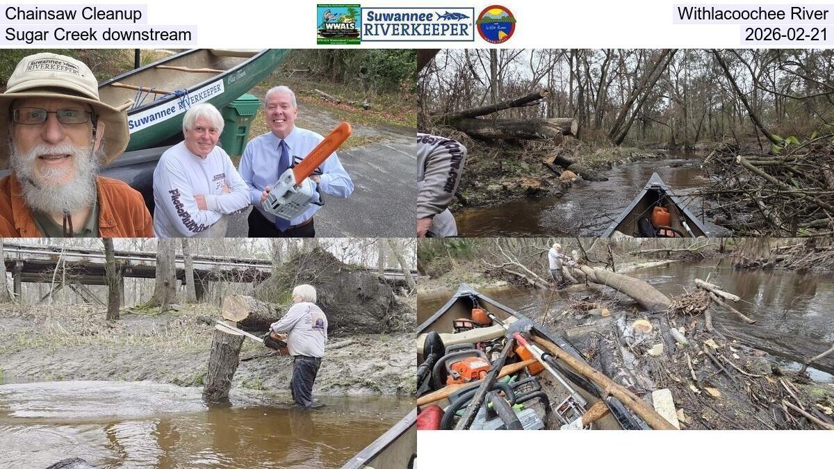 Chainsaw Cleanup, Withlacoochee River, Sugar Creek downstream, 2026-02-21