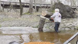 [Movie: Husqvarna 24-inch 460 Rancher chainsaw, 2026:02:28 11:17:46, 30.8637465, -83.3225227 (14M) --jsq for WWALS]