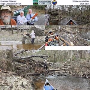[Chainsaw Cleanup, Withlacoochee River, Sugar Creek downstream, 2026-02-21]
