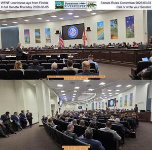 [WFNF unanimous aye from Florida Senate Rules Committee 2026-03-03, In full Senate Thursday 2026-03-05, Call or write your Senator]