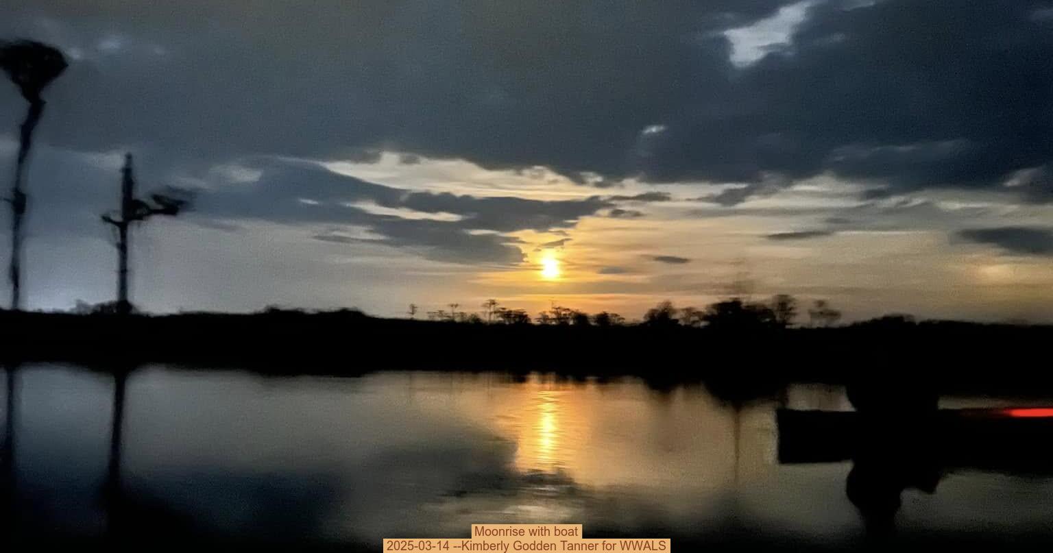 Moonrise with boat, 2025-03-14 --Kimberly Godden Tanner for WWALS
