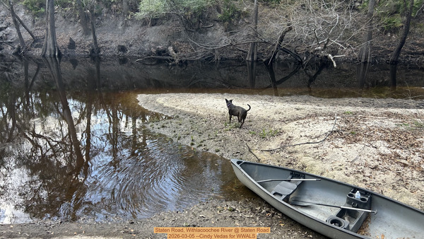 [Staten Road, Withlacoochee River @ Staten Road 2026-03-05 --Cindy Vedas for WWALS]