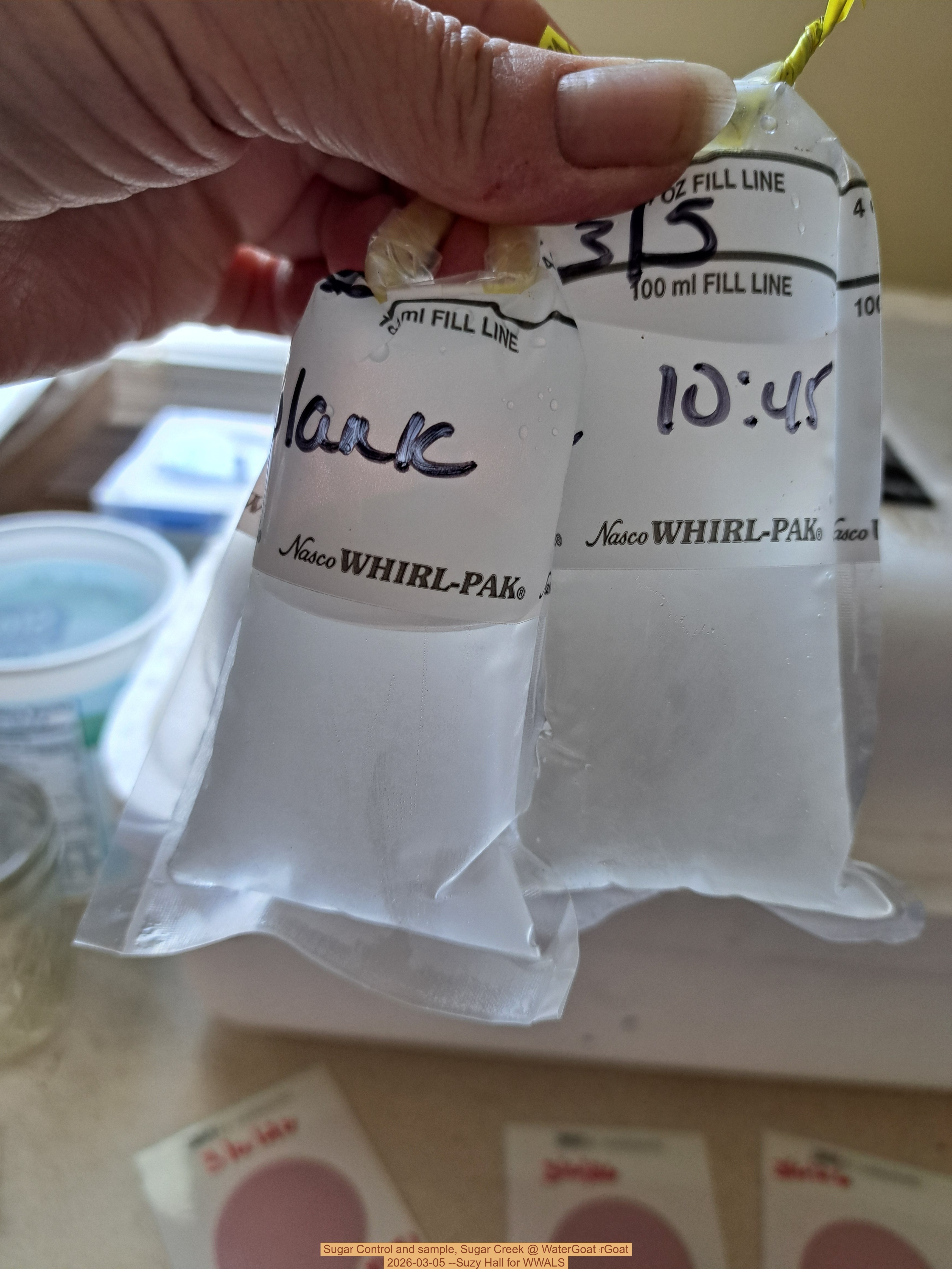 Control and sample, Sugar Creek @ WaterGoat 2026-03-05 --Suzy Hall for WWALS