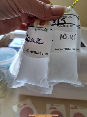 [Control and sample, Sugar Creek @ WaterGoat 2026-03-05 --Suzy Hall for WWALS]