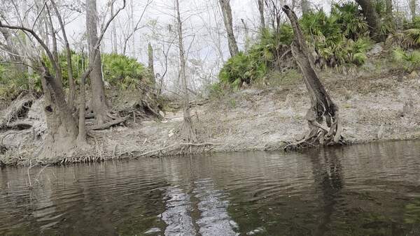 Movie: Lastinger-Scruggs Private Boat Ramp, 2026:03:07 10:30:26, 30.8405881, -83.3539293 (9.3M) --jsq for WWALS