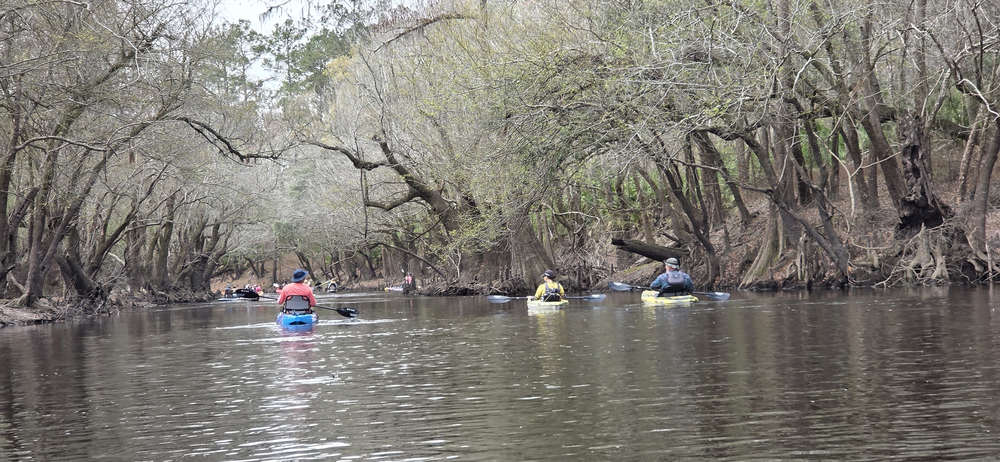 Mayor on the Little River, 2026:03:07 09:49:42, 30.8513681, -83.3478755 --jsq for WWALS