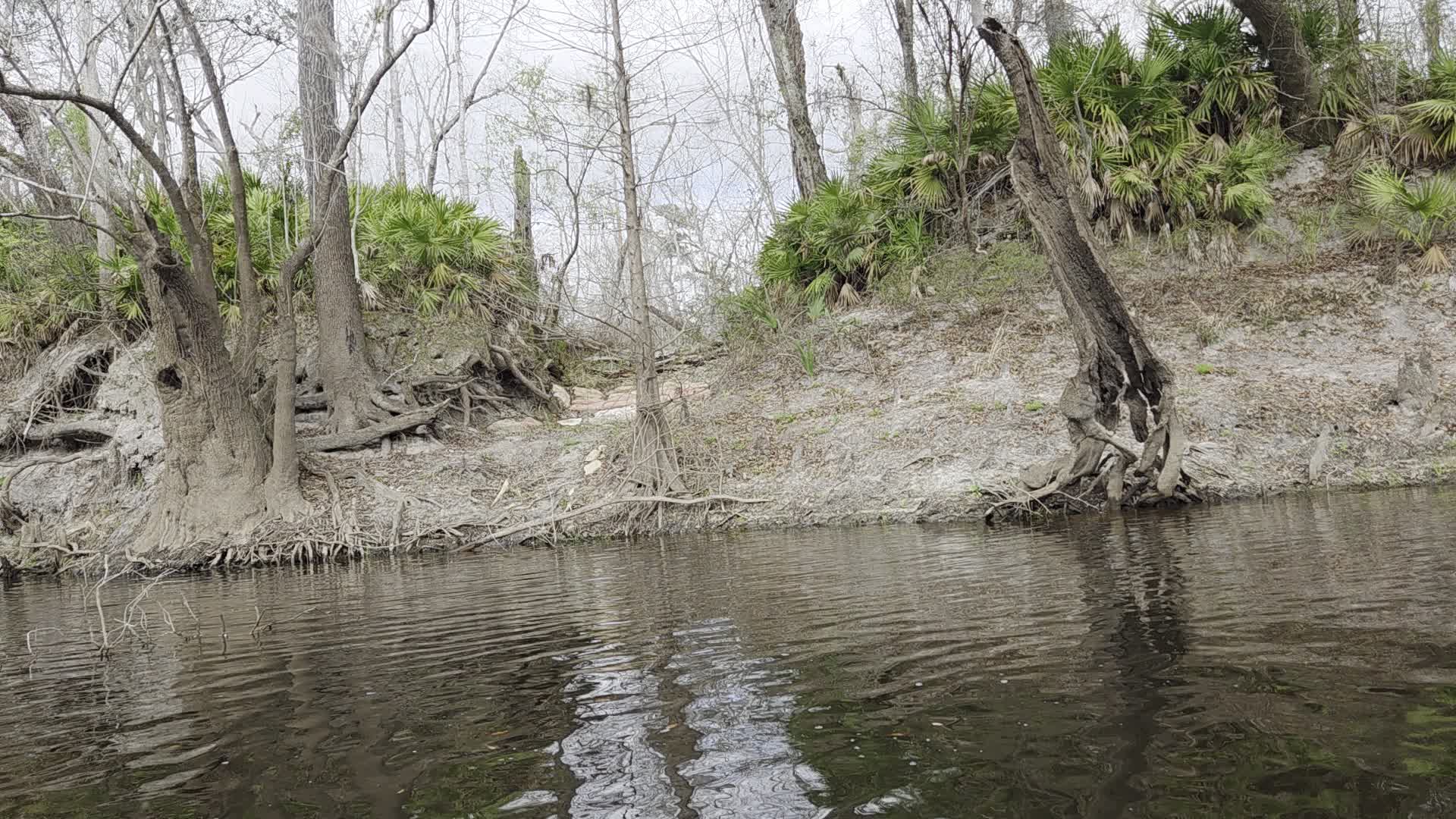 Movie: Lastinger-Scruggs Private Boat Ramp, 2026:03:07 10:30:26, 30.8405881, -83.3539293 (9.3M) --jsq for WWALS