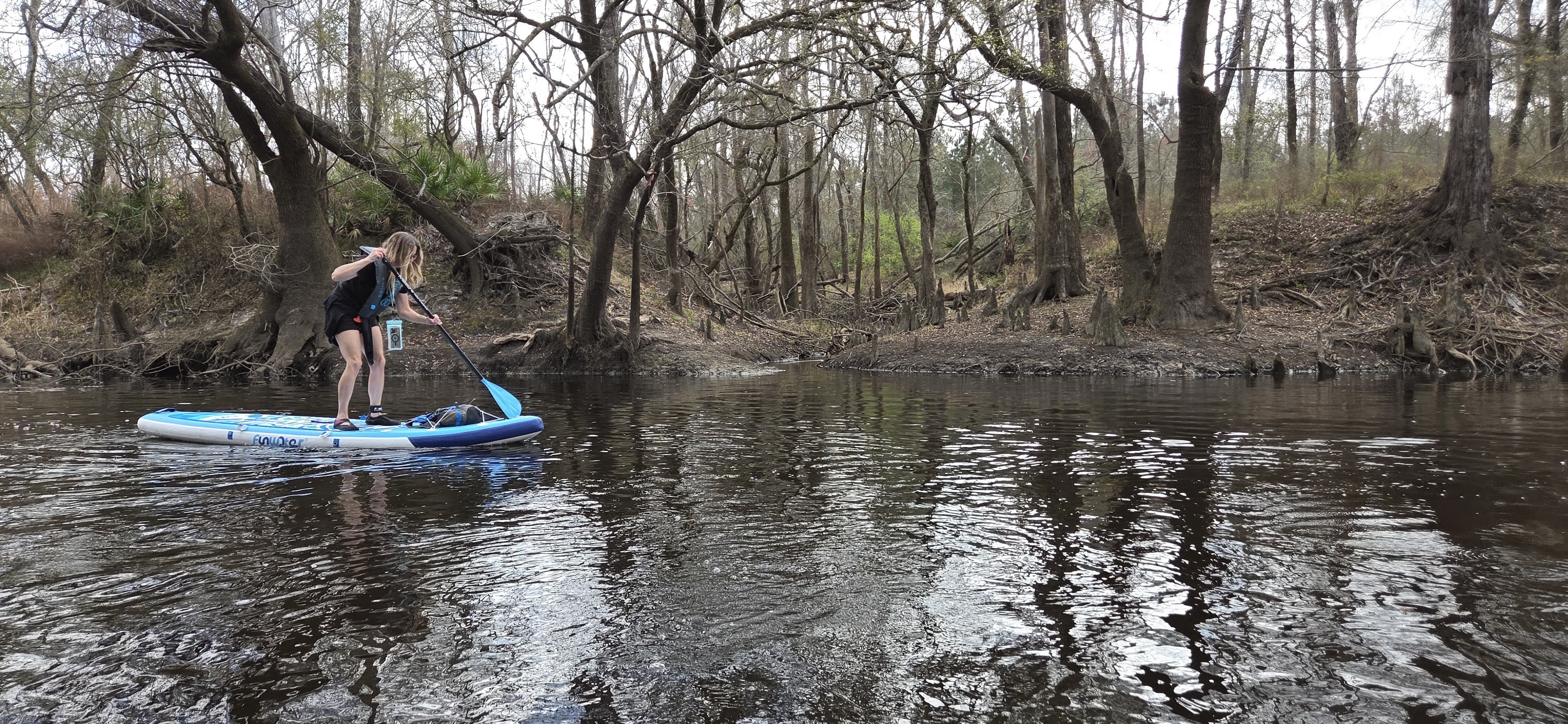 A tiny creek or slough, 2026:03:07 10:32:00, 30.8400755, -83.3543059 --jsq for WWALS
