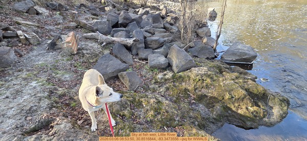 Sky at fish weir, Little River, 2026:03:06 08:53:50, 30.8516844, -83.3473556 --jsq for WWALS