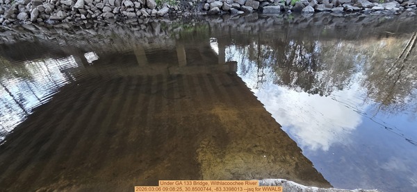 [Under GA 133 Bridge, Withlacoochee River, 2026:03:06 09:08:25, 30.8500744, -83.3398013 --jsq for WWALS]