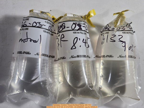 Samples: Control, Troupville Boat Ramp, GA 133, 2026:03:06 12:37:38, 31.0127090, -83.2698069 --jsq for WWALS