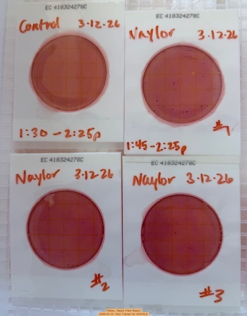 Plates, Naylor Park Beach 2026-03-12 --Kim Tanner for WWALS