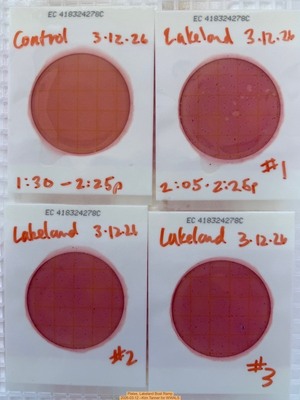 [Plates, Lakeland Boat Ramp 2026-03-12 --Kim Tanner for WWALS]