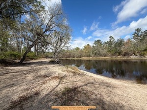 [Downstream, Naylor Park Beach, Alapaha River @ US 84 2026-03-12 --Kim Tanner for WWALS]