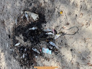 [Trash, Naylor Park Beach, Alapaha River @ US 84 2026-03-12 --Kim Tanner for WWALS]