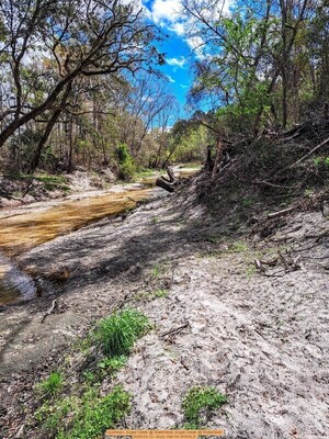 [Upstream, Sugar Creek @ WaterGoat, Sugar Creek @ WaterGoat 2026-03-12 --Suzy Hall for WWALS]