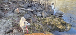 [Sky at fish weir, Little River, 2026:03:06 08:53:50, 30.8516844, -83.3473556 --jsq for WWALS]