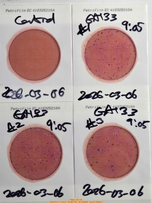 [Plates, GA 133, 2026:03:07 13:45:07, 30.9851160, -83.2450804 --jsq for WWALS]