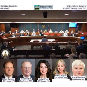 [Call about datacenter and developer give-away, GA SB 447, in HNRE Tuesday 2026-03-17]