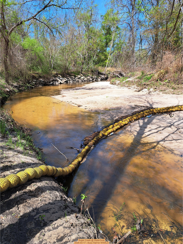 [Sugar Creek @ WaterGoat 2026-03-17 --Suzy Hall for WWALS]