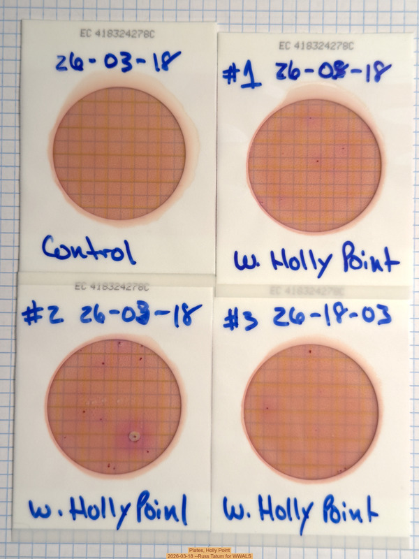 Plates, Holly Point 2026-03-18 --Russ Tatum for WWALS