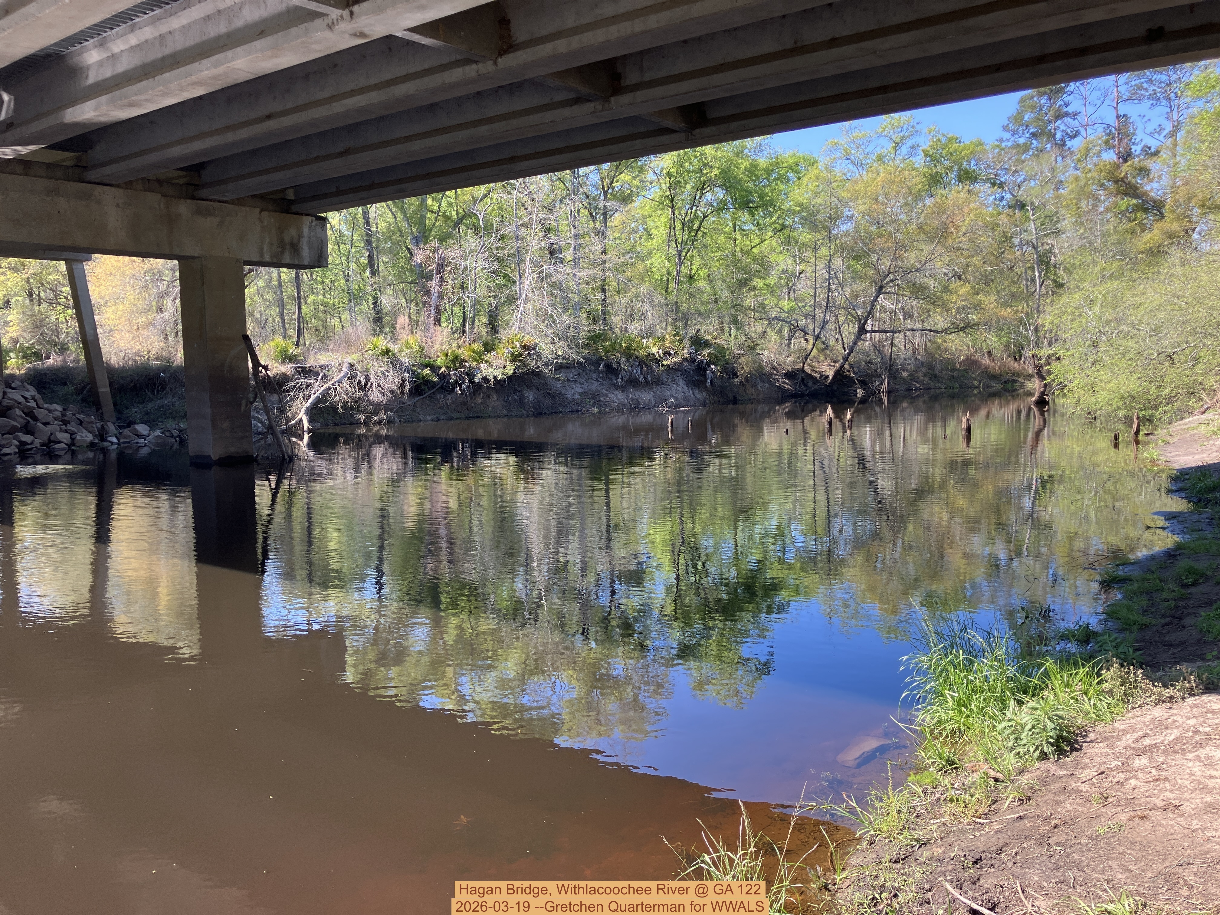 Hagan Bridge, Withlacoochee River @ GA 122 2026-03-19 --Gretchen Quarterman for WWALS