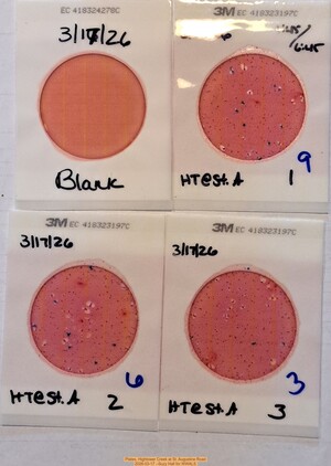 [Plates, Hightower Creek at St. Augustine Road 2026-03-17 --Suzy Hall for WWALS]