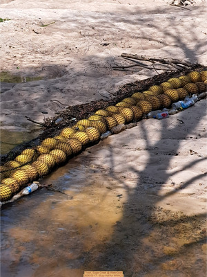 [Trash, Sugar Creek @ WaterGoat 2026-03-17 --Suzy Hall for WWALS]