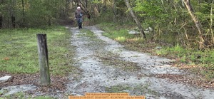 [Phil Hubbard arriving from the woods, 2026:03:21 09:03:57, 30.8513877, -83.3474541 --jsq for WWALS]