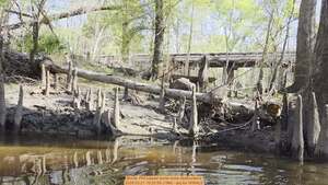 [Movie: Phil sawed some more obstructions, 2026:03:21 10:25:58 (19M) --jsq for WWALS]