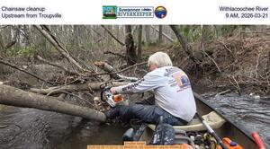 [Chainsaw cleanup, Withlacoochee River, Upstream from Troupville, 9 AM, 2026-03-21]