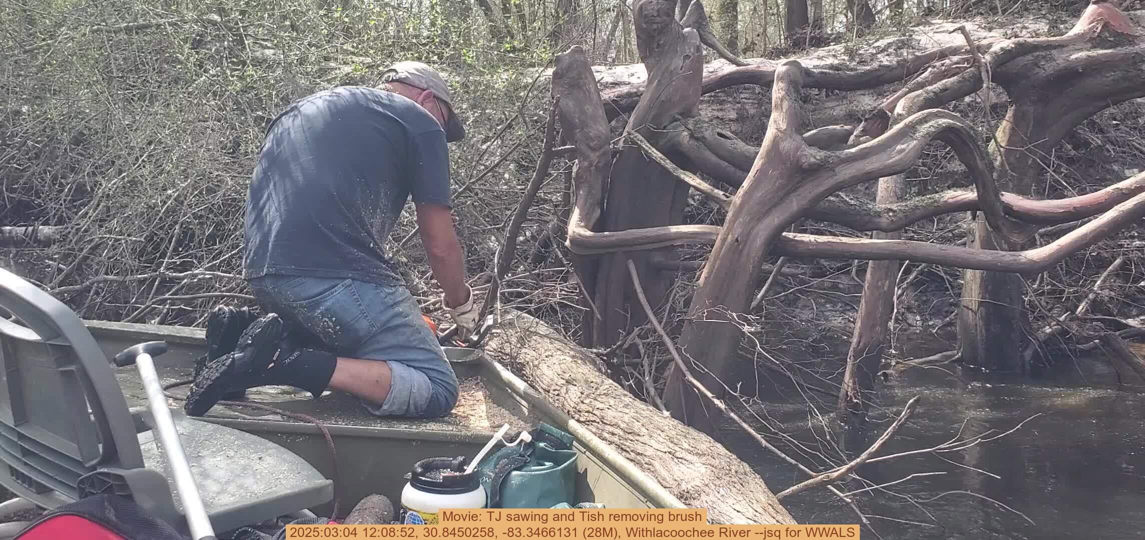 Movie: TJ sawing and Tish removing brush, 2025:03:04 12:08:52, 30.8450258, -83.3466131 (28M), Withlacoochee River --jsq for WWALS