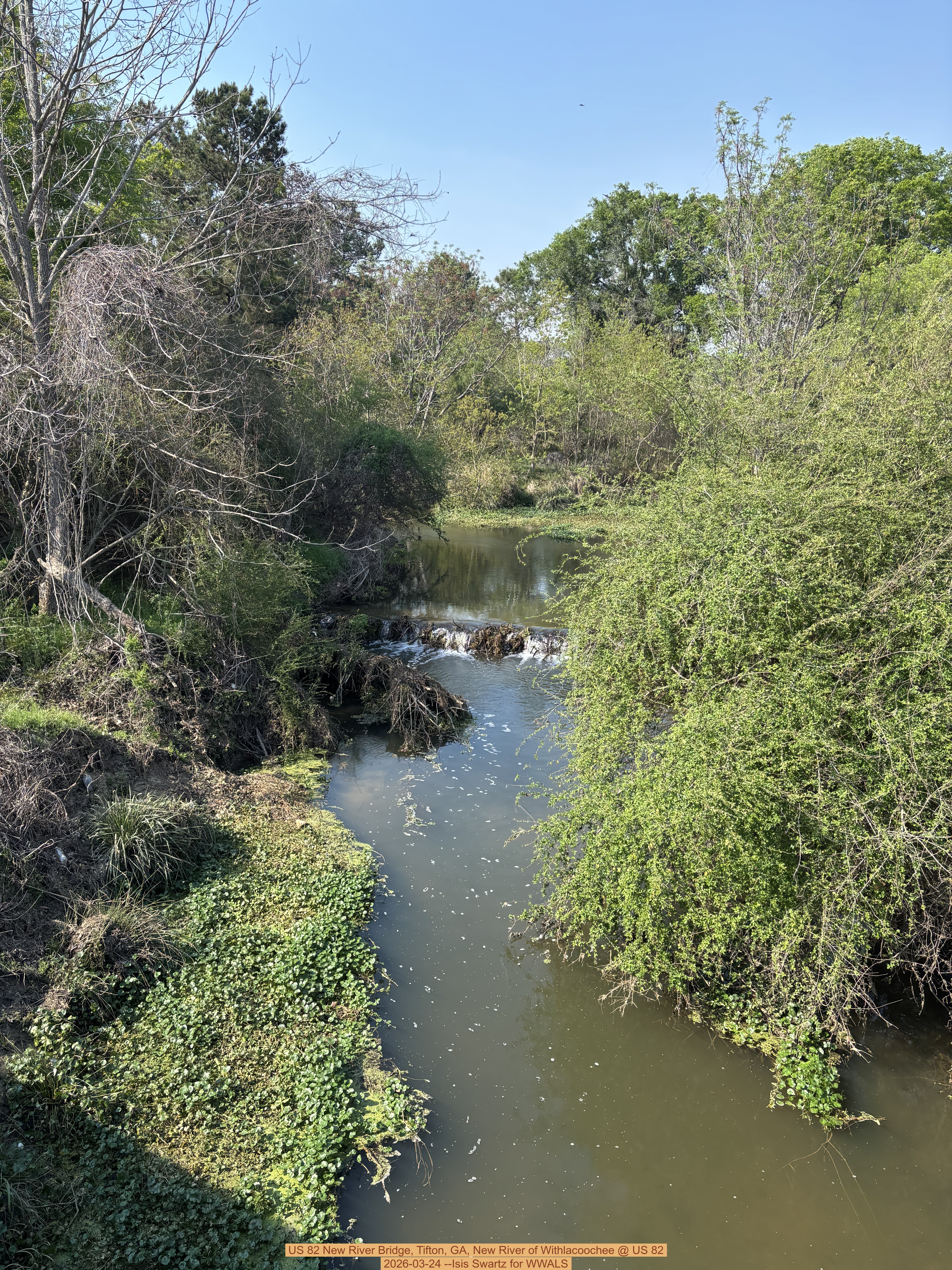 US 82 New River Bridge, Tifton, GA, New River of Withlacoochee @ US 82 2026-03-24 --Isis Swartz for WWALS