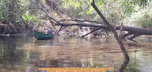 [Movie: We made a gap in the first upstream deadfall, but just above it is an even bigger one, 2024-08-25, 11:16:31, 30.8905793, -83.3213432 (37M) --jsq for WWALS]