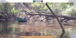 [Langdale Park Chainsaw Cleanup, Withlacoochee River, with Trails4Valdosta]